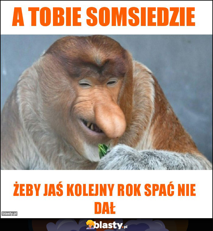 A Tobie somsiedzie