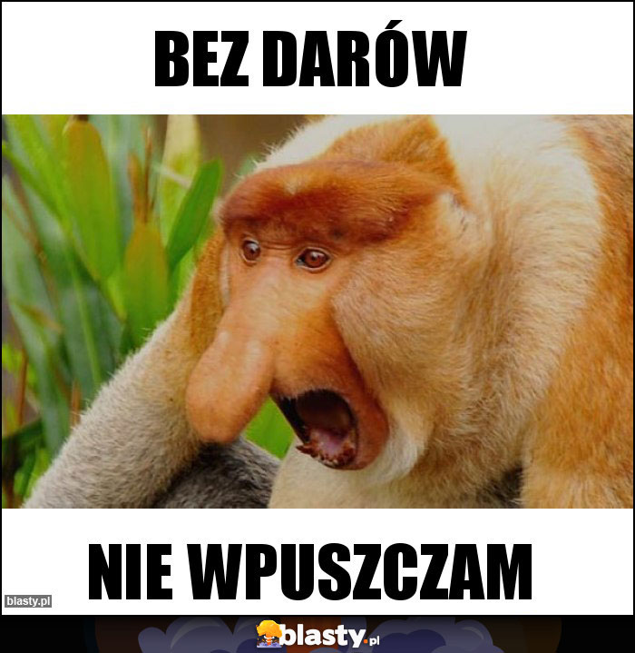 Bez darów