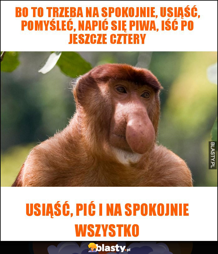 Bo to trzeba na spokojnie, usiąść, pomyśleć, napić się piwa, iść po jeszcze cztery