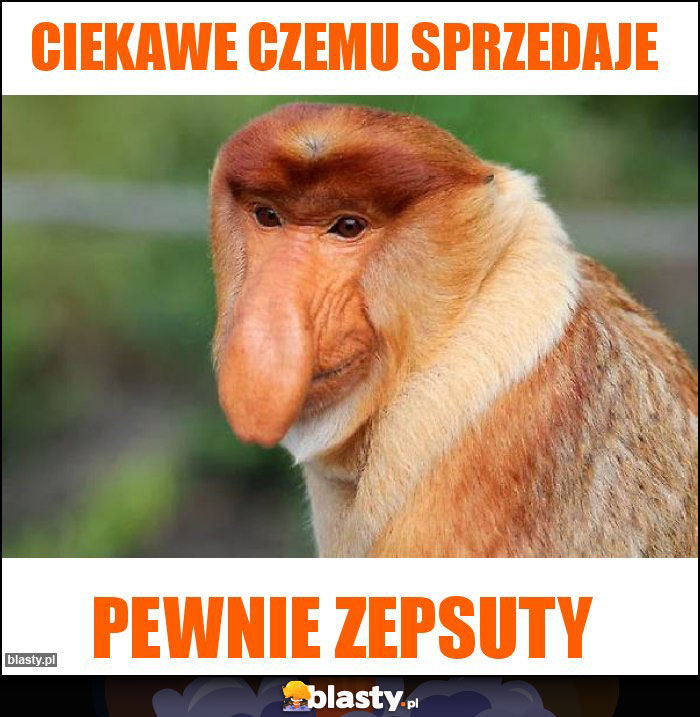 ciekawe czemu sprzedaje