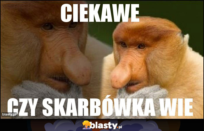 ciekawe