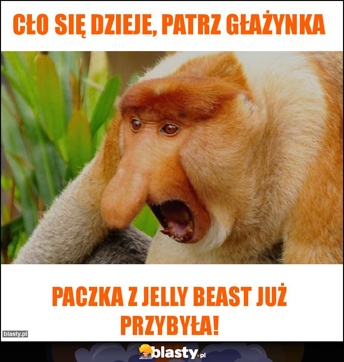 Cło się dzieje, patrz głażynka