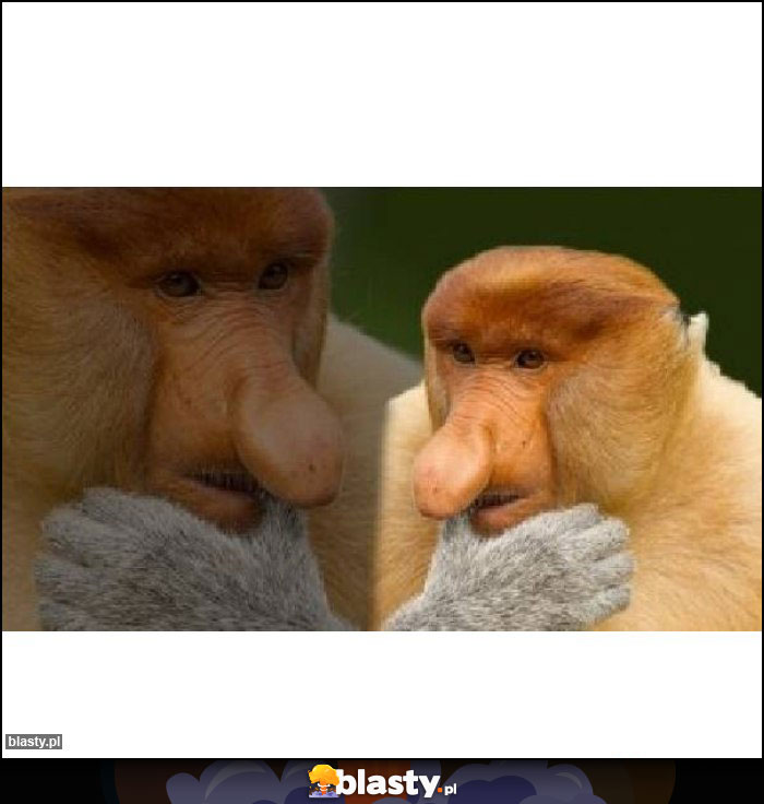 Co się bardziej opłaca najtańsze