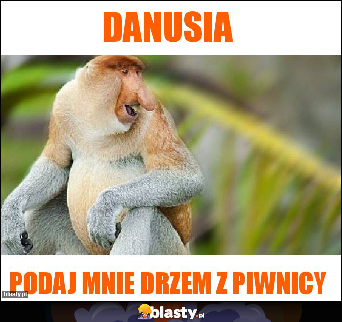 Danusia