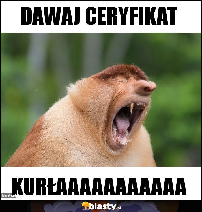 dawaj ceryfikat