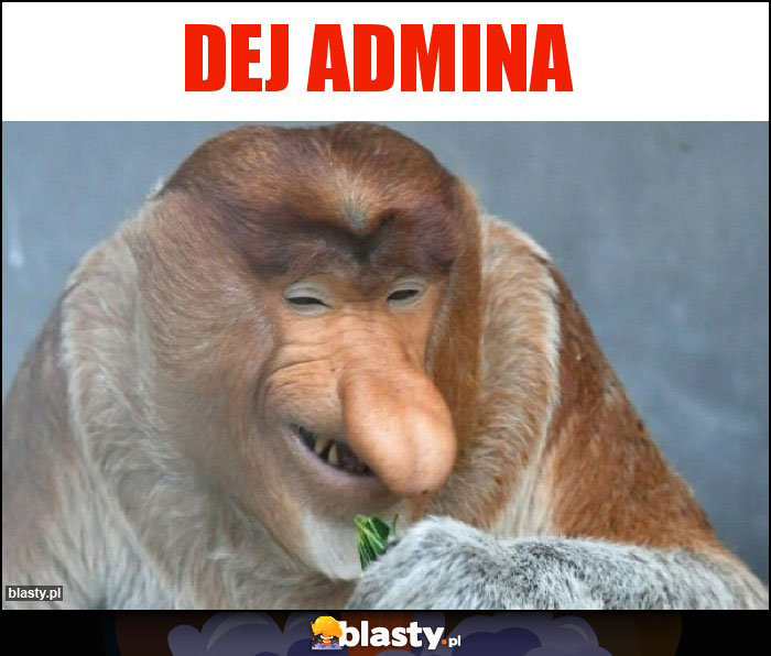 dej admina