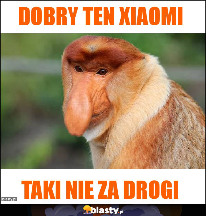 Dobry ten Xiaomi