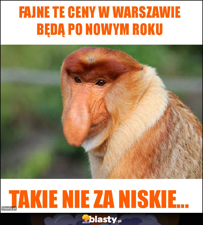 Fajne te ceny w Warszawie będą po nowym roku