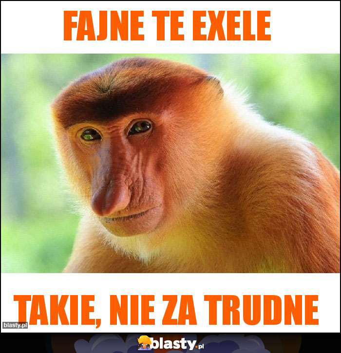 Fajne te exele
