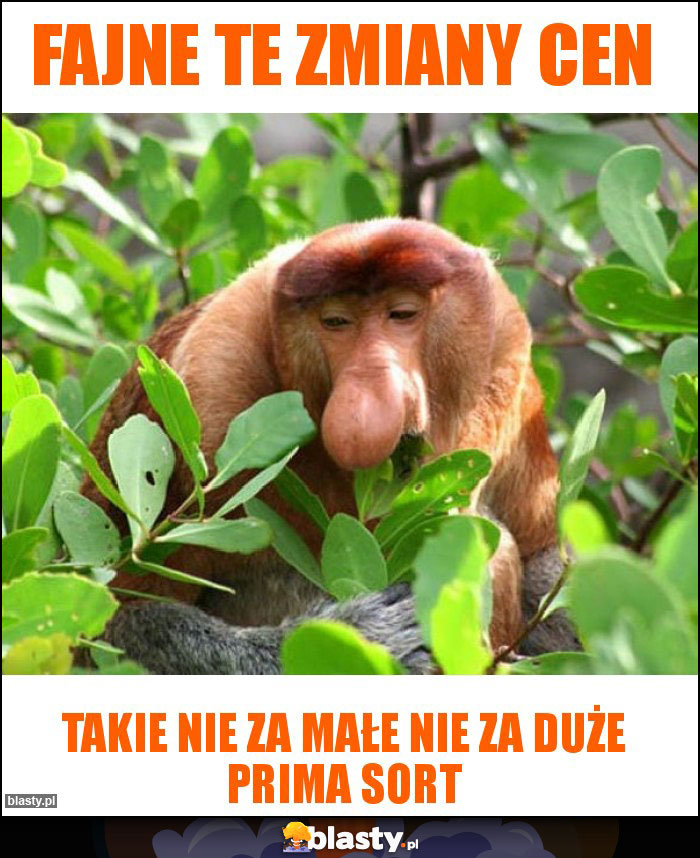 Fajne te zmiany cen
