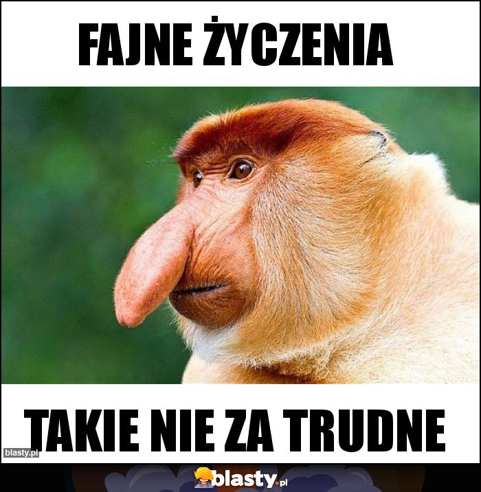 Fajne życzenia