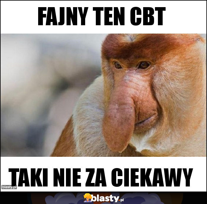Fajny ten cbt