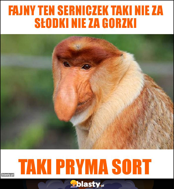 Fajny ten serniczek taki nie za słodki nie za gorzki