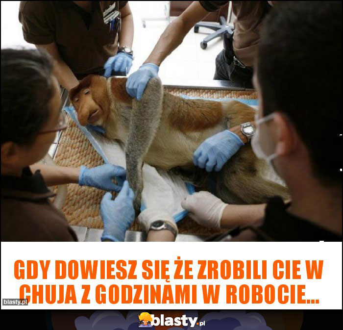 Gdy dowiesz się że zrobili Cie w chuja z godzinami w robocie...