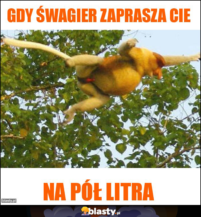 Gdy śwagier zaprasza cie
