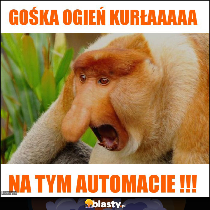 Gośka ogień Kurłaaaaa