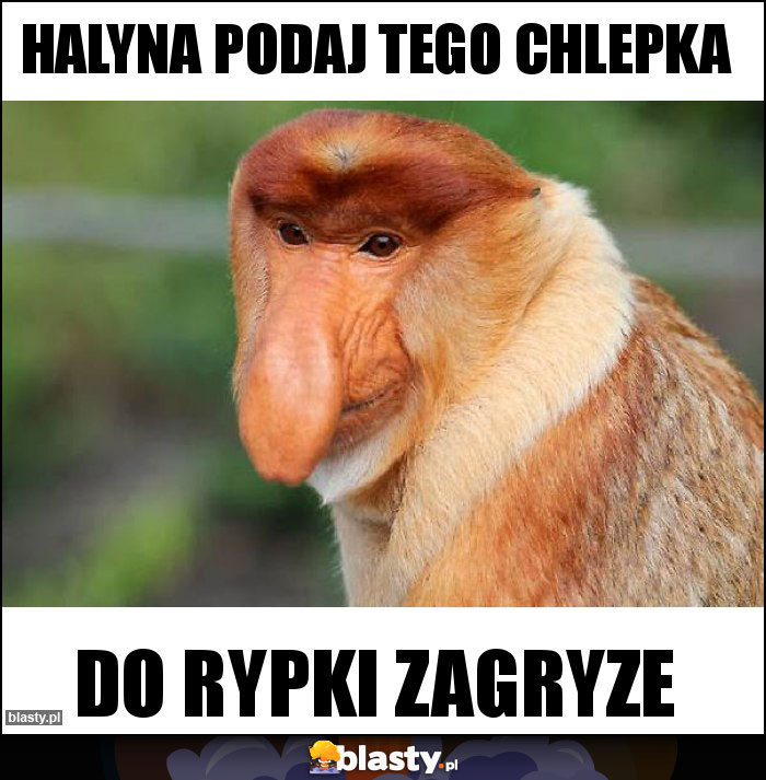 HALYNA PODAJ TEGO CHLEPKA