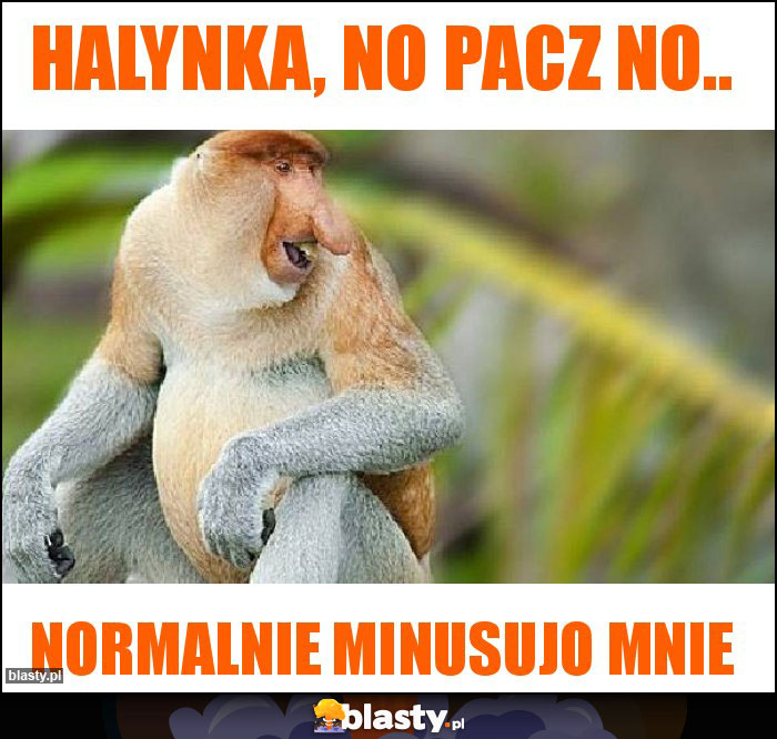 Halynka, no pacz no..