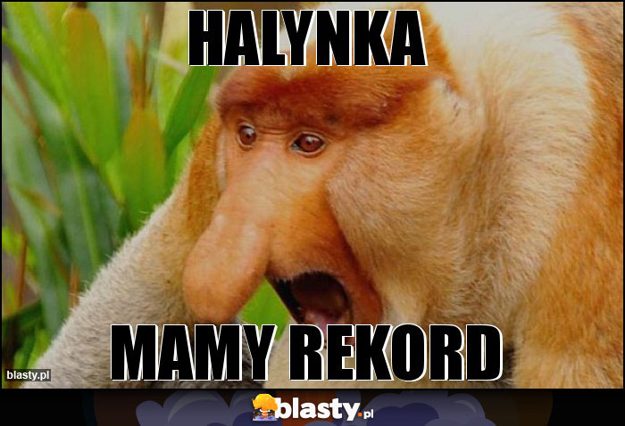 Halynka