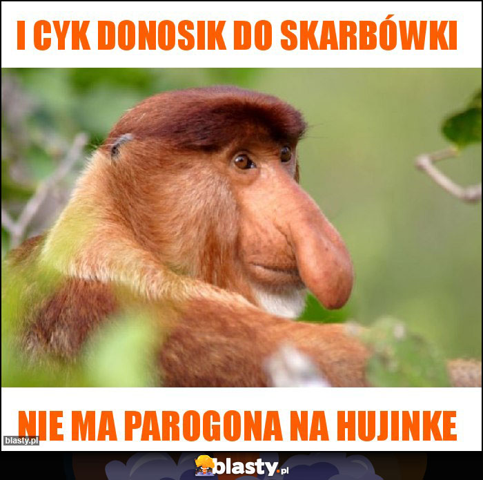 i cyk donosik do skarbówki