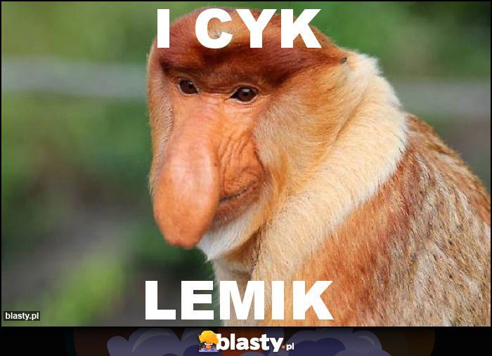 I cyk