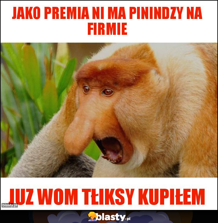 jako premia ni ma pinindzy na firmie