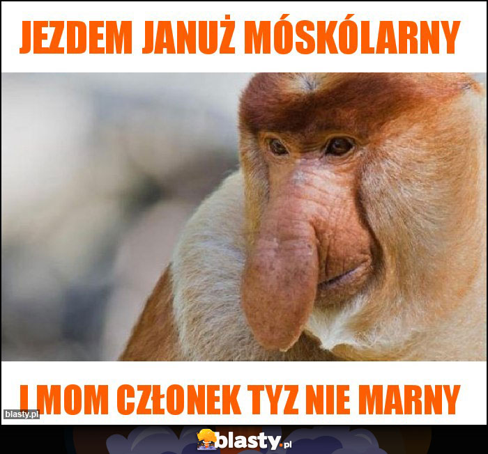 Jezdem Januż móskólarny