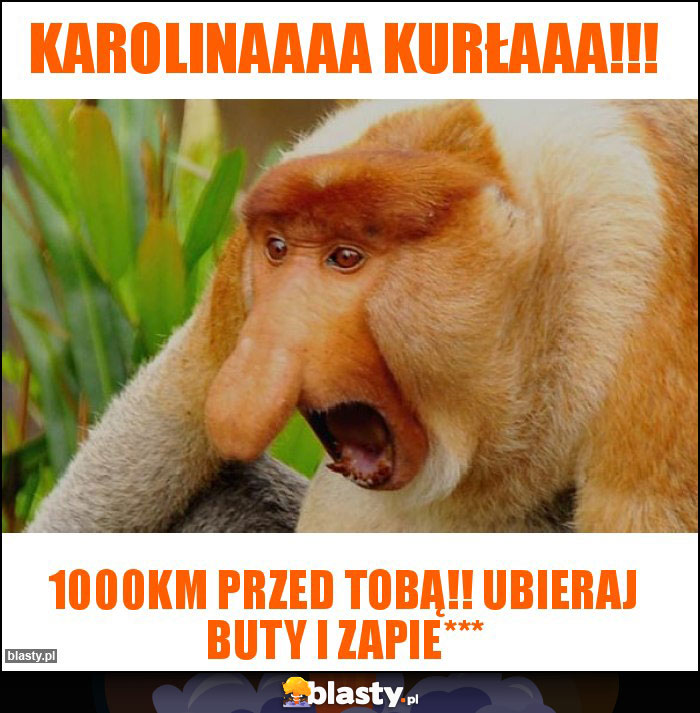 Karolinaaaa kurłaaa!!!