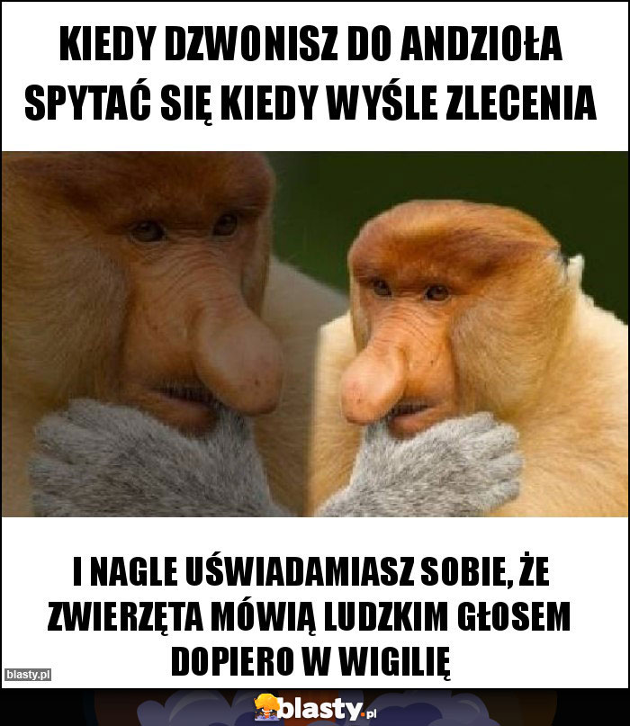 Kiedy dzwonisz do Andzioła spytać się kiedy wyśle zlecenia
