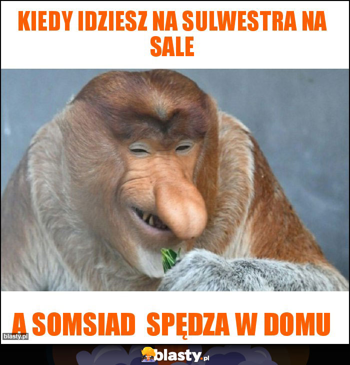KIEDY idziesz na sulwestra na sale