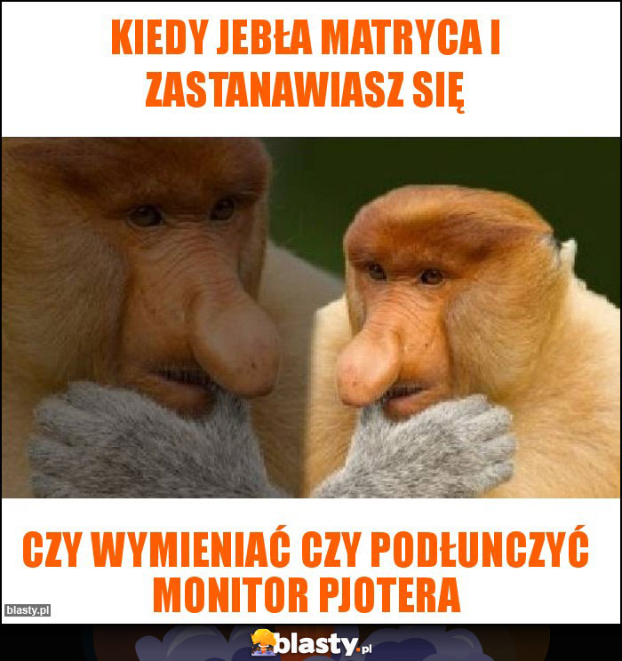 Kiedy jebła matryca i zastanawiasz się