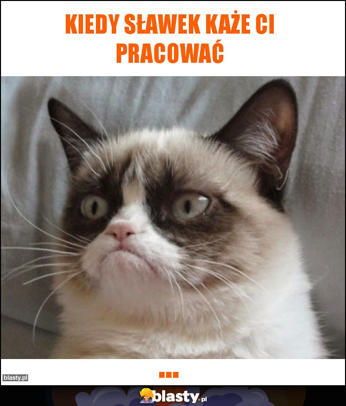 Kiedy Sławek każe Ci pracować