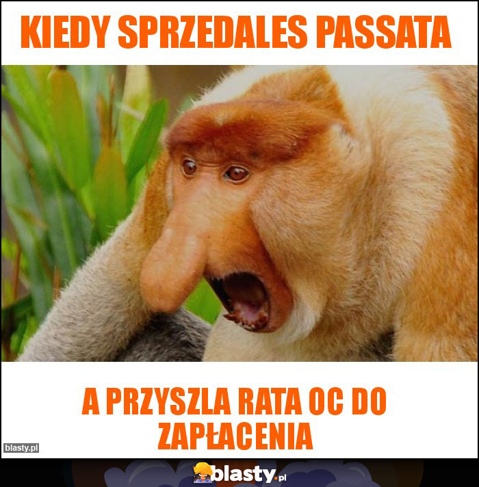 Kiedy sprzedales passata