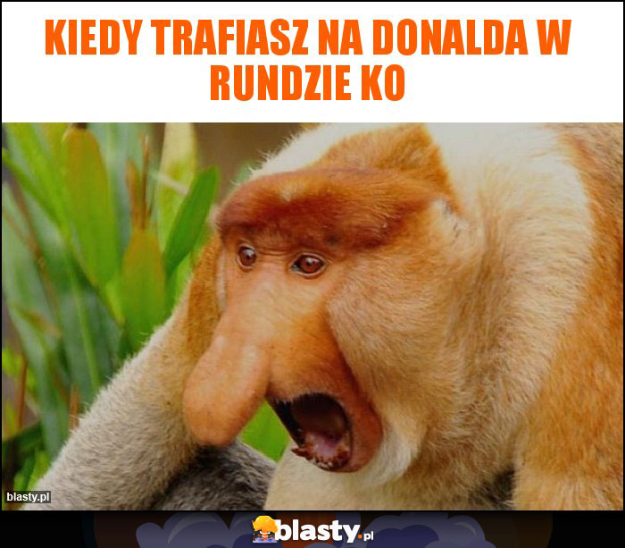 Kiedy trafiasz na Donalda w rundzie KO