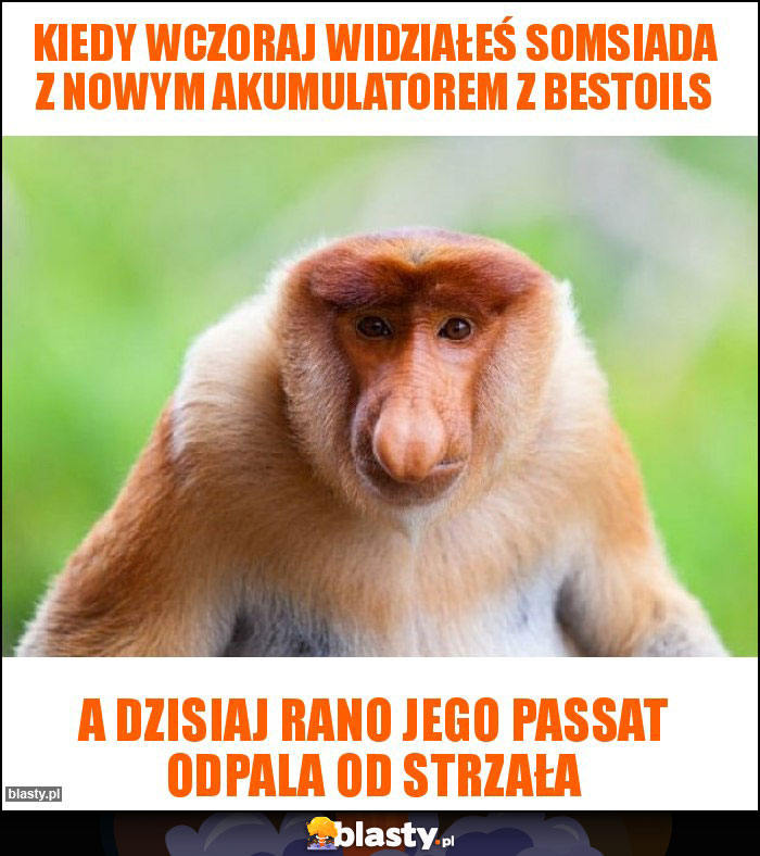 Kiedy wczoraj widziałeś somsiada z nowym akumulatorem z bestoils