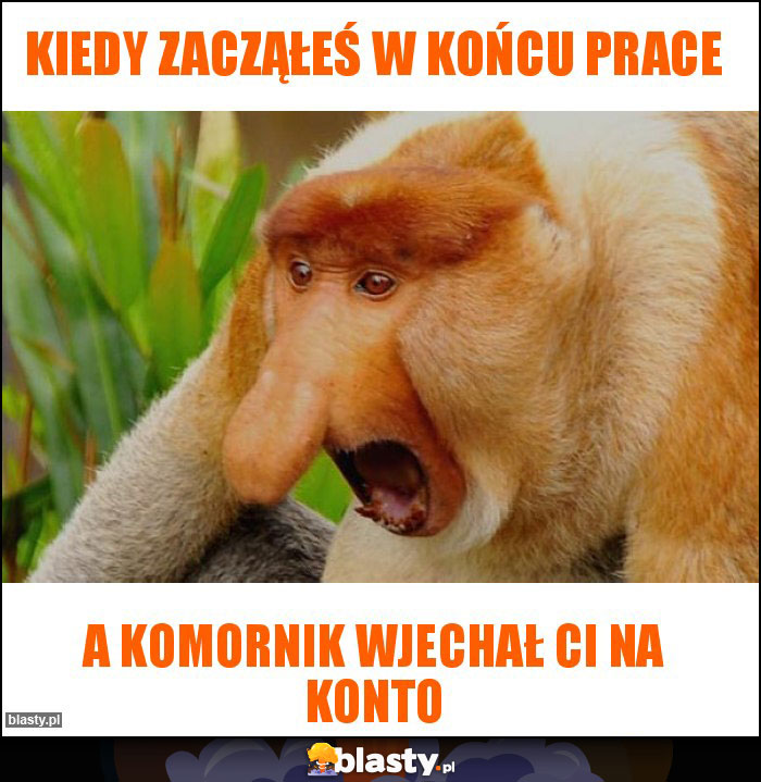 Kiedy zacząłeś w końcu prace