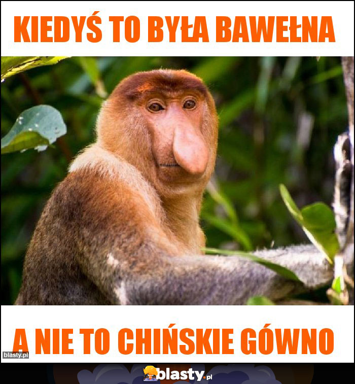kiedyś to była bawełna