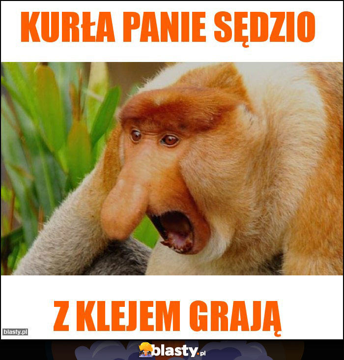 Kurła panie sędzio