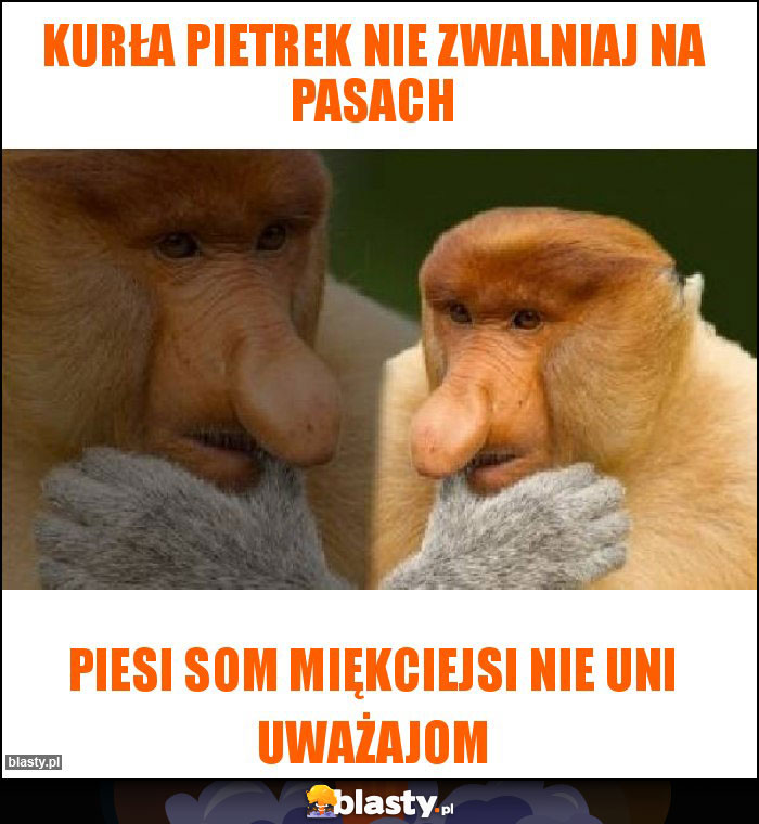 Kurła Pietrek nie zwalniaj na pasach