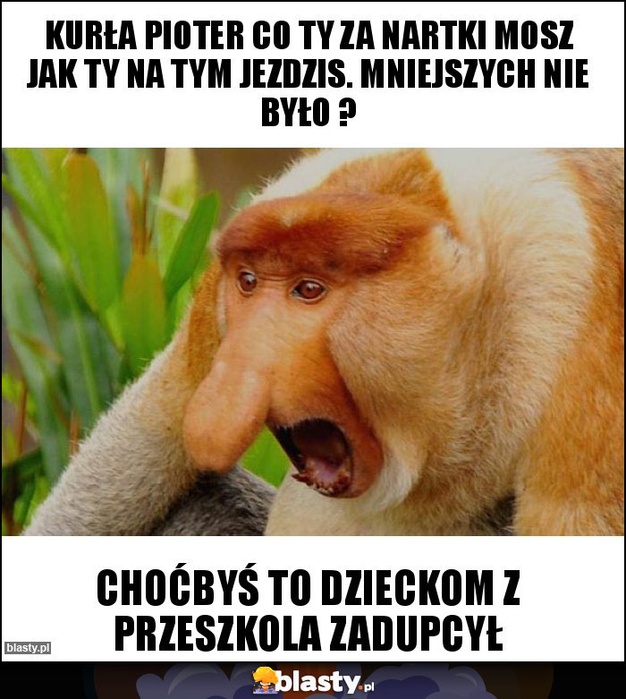 KURŁA PIOTER CO TY ZA NARTKI MOSZ JAK TY NA TYM JEZDZIS. MNIEJSZYCH NIE BYŁO ?