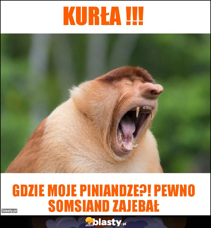 Kurła !!!