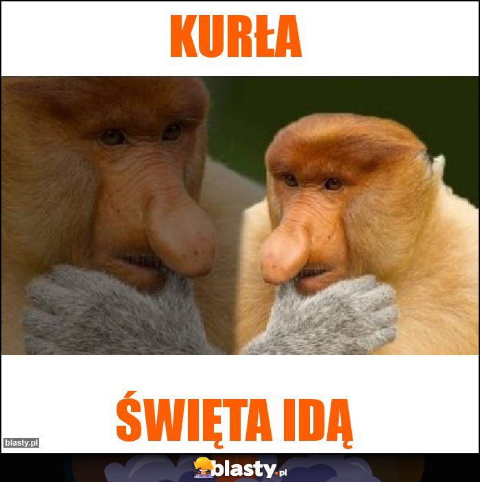 Kurła
