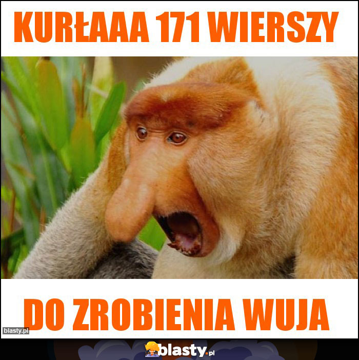kurłaaa 171 wierszy