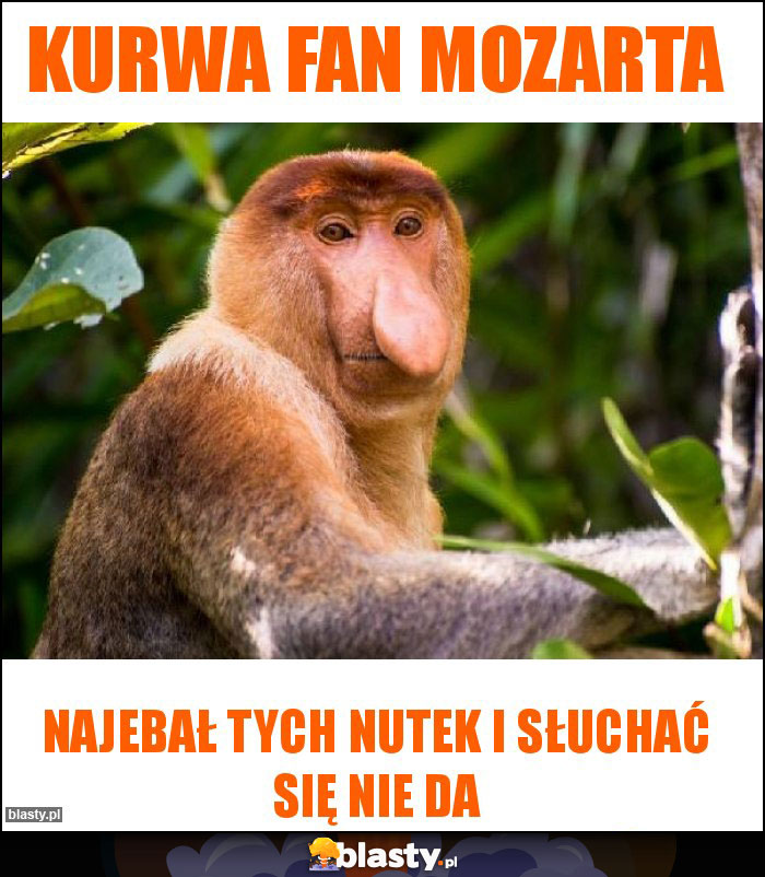 Kurwa fan mozarta