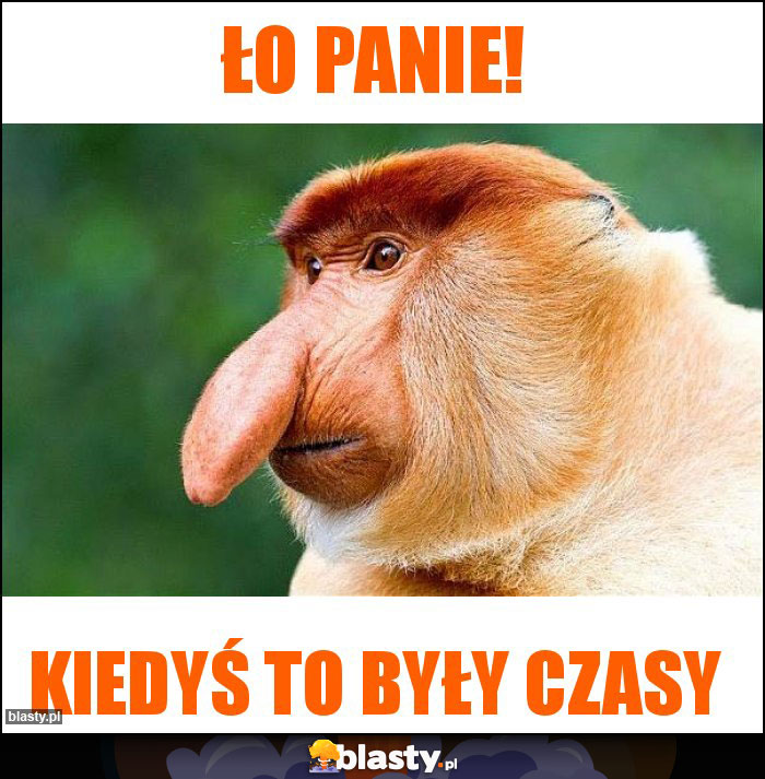 Ło panie!