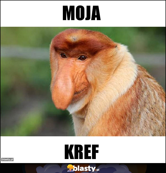 MOJA
