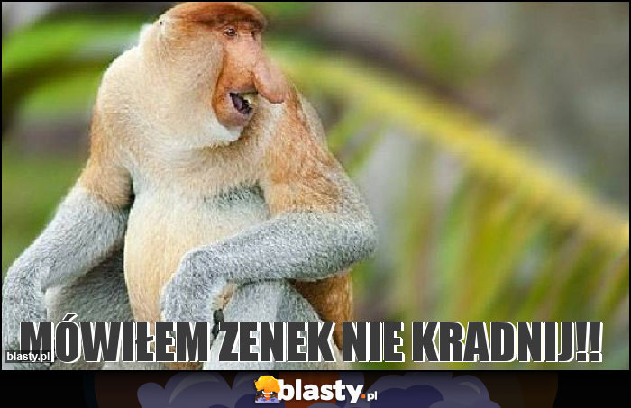 Mówiłem Zenek nie kradnij!!