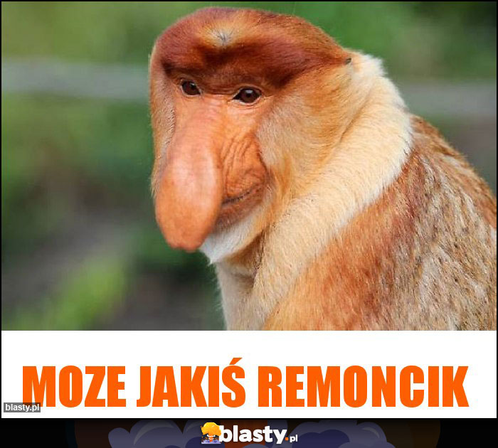 moze jakiś remoncik