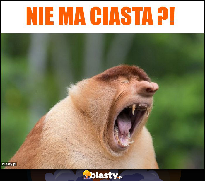Nie ma ciasta ?!