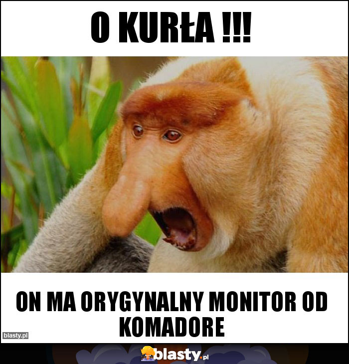 O kurła !!!